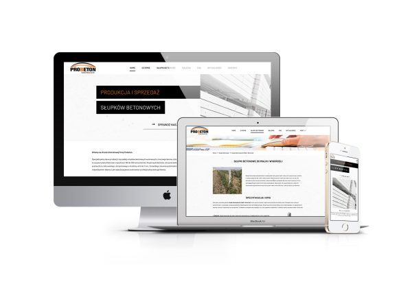 Efektywna realizacja strony internetowej